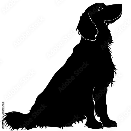 silhouette of a english setter