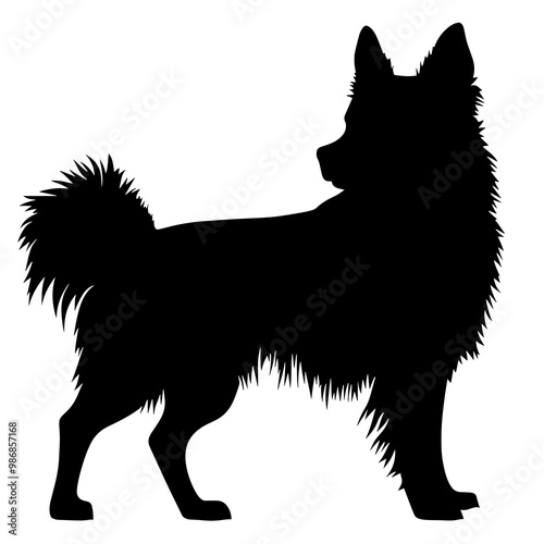 silhouette of a finnish spitz