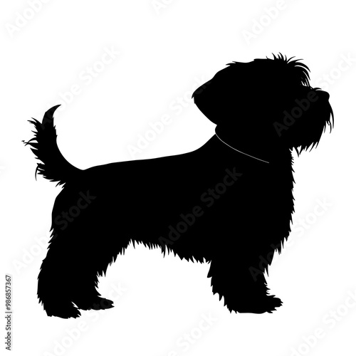 silhouette of a glen of imaal terrier photo