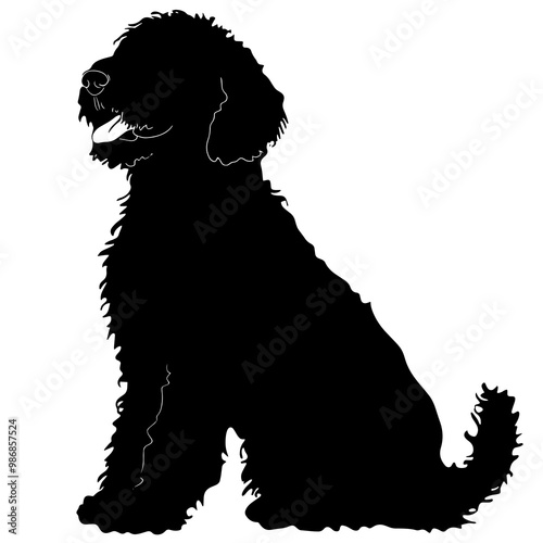 silhouette of a goldendoodle