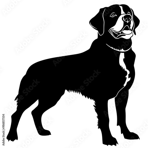 silhouette of a greater swiss mountain dog