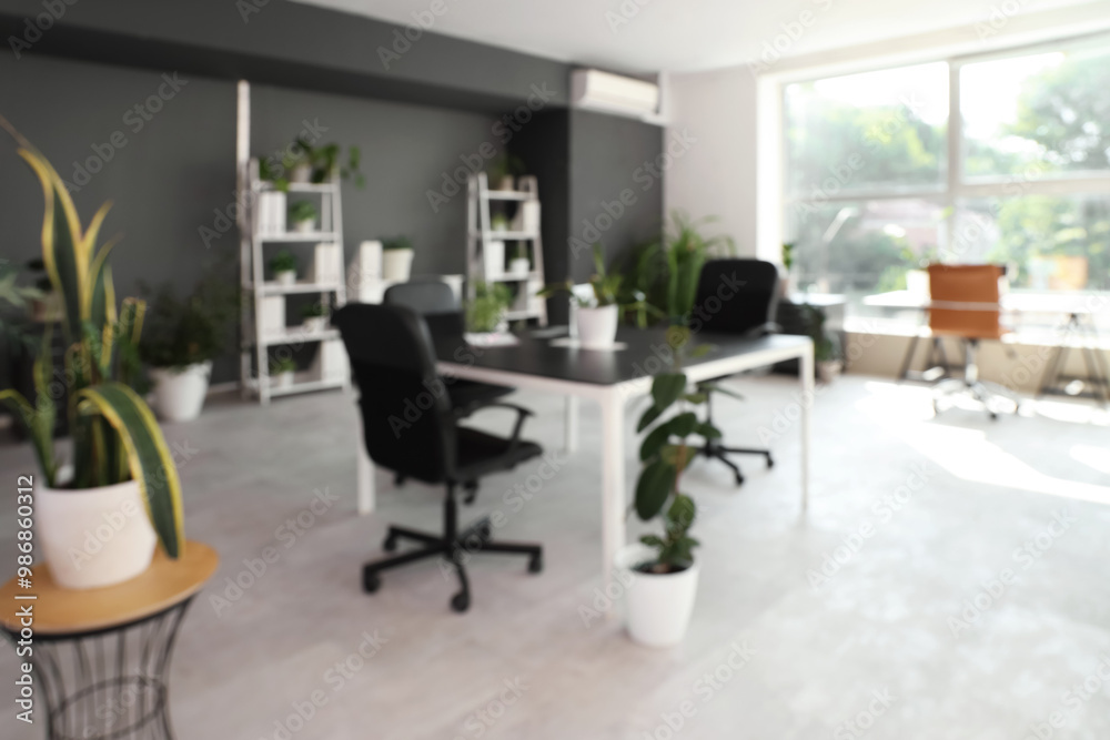 Blurred view of modern office with desks, shelf units and green plants