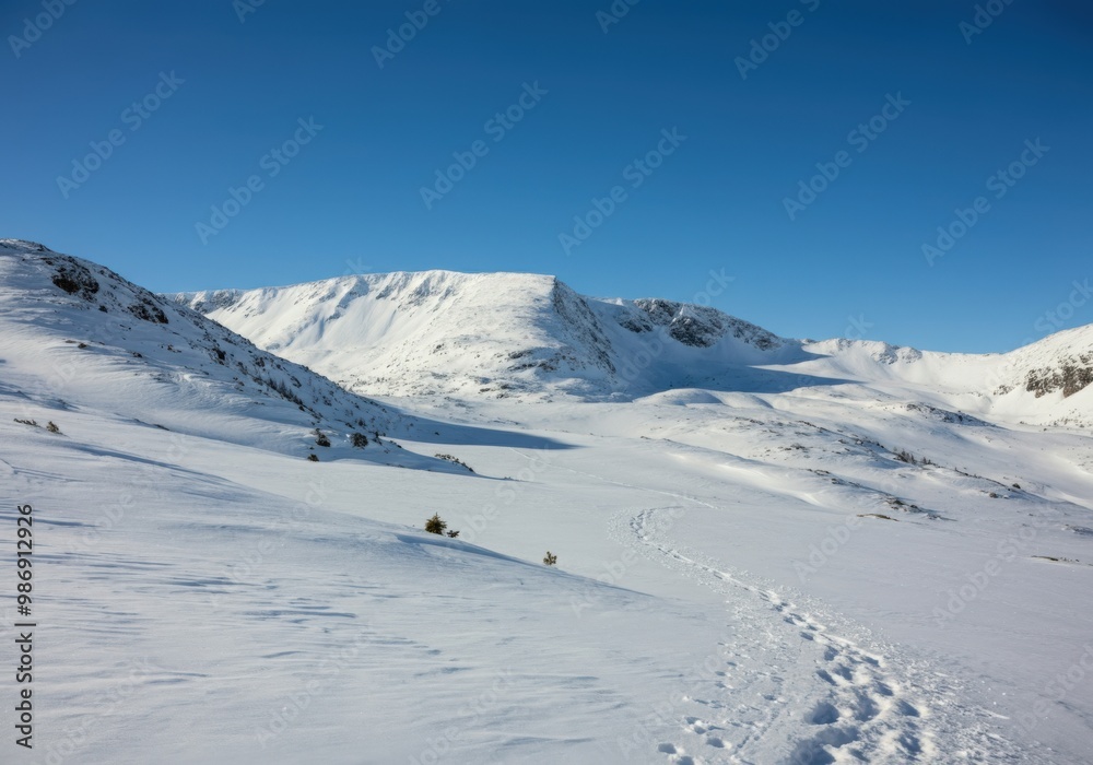 Snow Covered Mountain Landscape with Footprints Snow Covered Mountain Landscape with Footprints