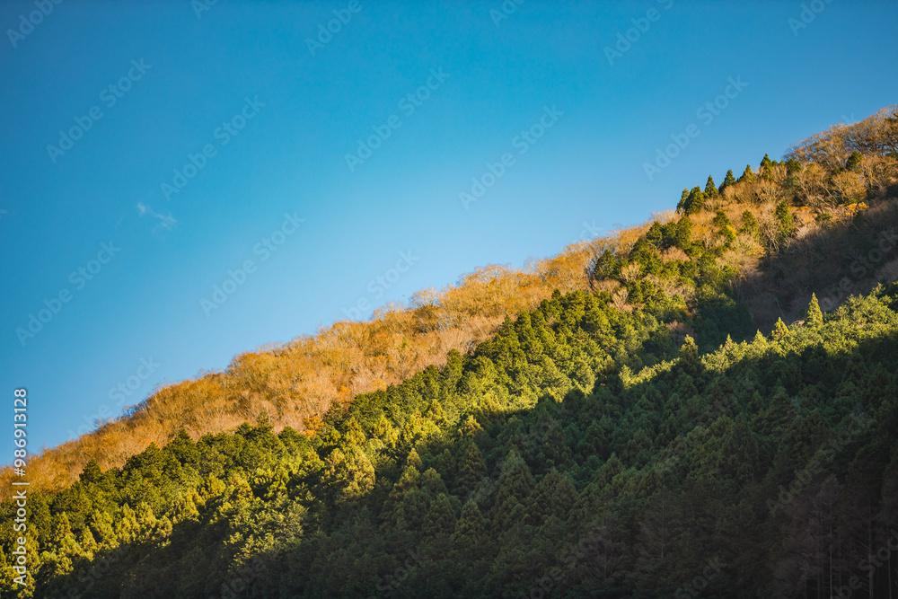 A hillside ablaze with autumn colors ; Golden leaves paint the mountainside against a blue sky ; Nature's vibrant hues adorn the hillside A hillside ablaze with autumn colors ; Golden leaves paint the mountainside against a blue sky ; Nature's vibrant hues adorn the hillside