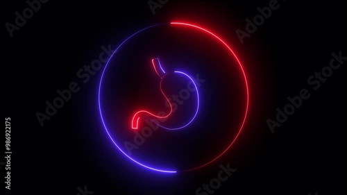Wallpaper Mural Neon Human Digestive System Stomach Anatomy Animation. Glowing neon line Human stomach icon ,Neon Human Digestive System Stomach Anatomy Animation Torontodigital.ca