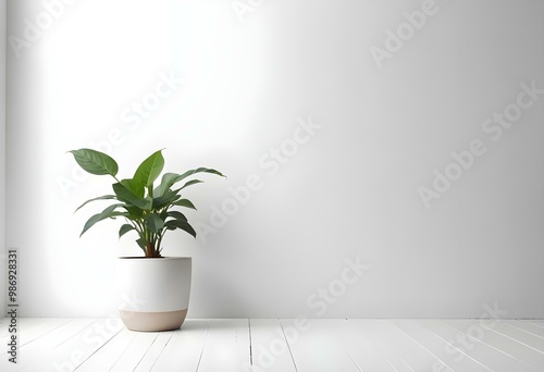 A potted plant with green leaves on a white table against a plain white wall.