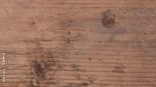 Wallpaper Mural Motion graphics with autumn elements design on the wood texture screen Torontodigital.ca