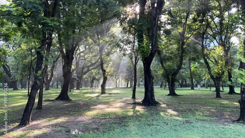 To create an image based on sentences and tags, the idea is to first combine the information from both sources to create a coherent and simple description for the image