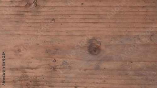 Wallpaper Mural Motion graphics with autumn elements design on the wood texture screen Torontodigital.ca