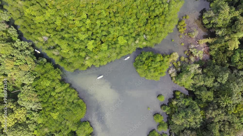 Top view of the forest with a small river where you can paddle a SUP board along the river.Water sports and nature activities Top view of the forest with a small river where you can paddle a SUP board along the river.Water sports and nature activities