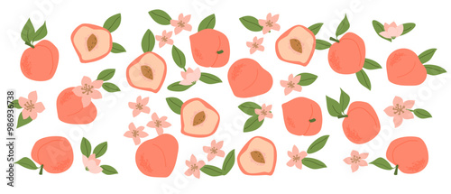 Wallpaper Mural Hand drawn abstract fruit peach plant set. Whole fruit, slices, pieces and leaves, flowers. Can used for posters, labels, patterns. Torontodigital.ca