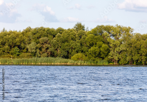 Green trees on the horizon on the lake shore