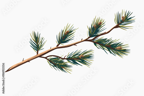 Detailed pine tree branch illustration
