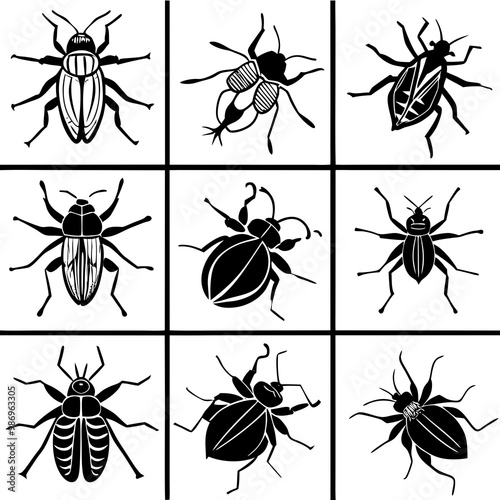 Pest Line Art Vector Illustration