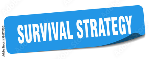 SURVIVAL STRATEGY STICKER