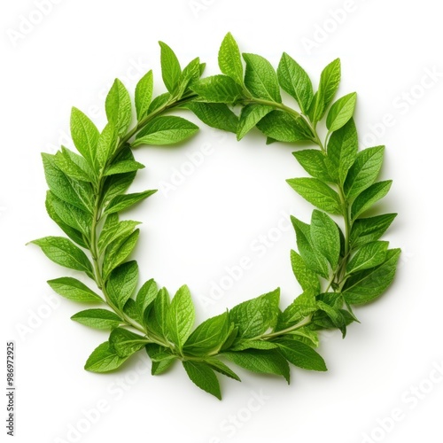 Circle of fresh green herbal leaves on a white background, flat lay,