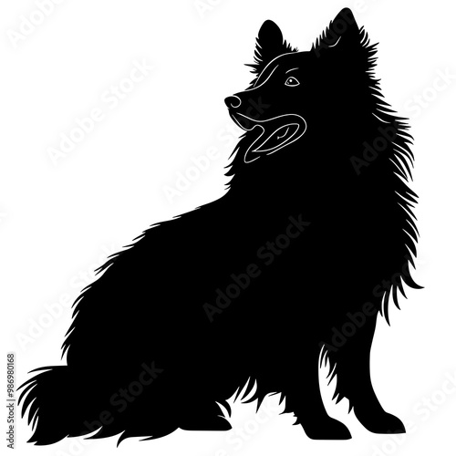 silhouette of a icelandic sheepdog