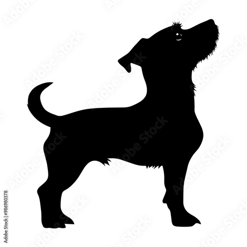 silhouette of a jack russell terrier