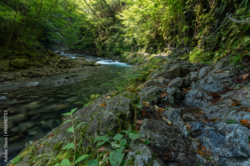 山梨県西沢渓谷の流れと登山道 photo