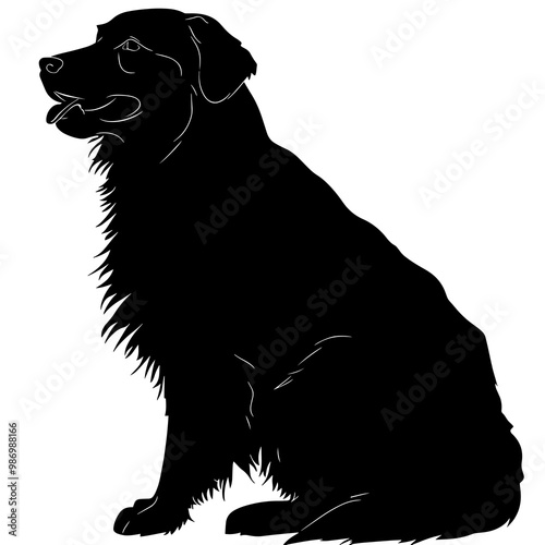 silhouette of a maremma sheepdog