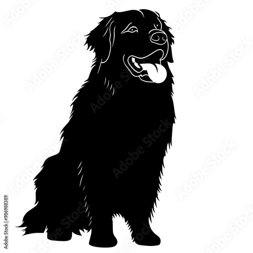 silhouette of a leonberger