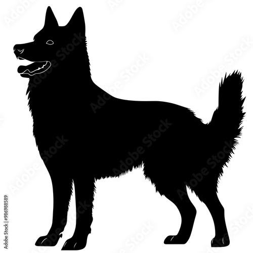 silhouette of a norwegian elkhound