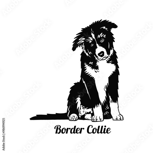 Puppy Border Collie - Dog Breed, Funny dog Vector File, detailed vector