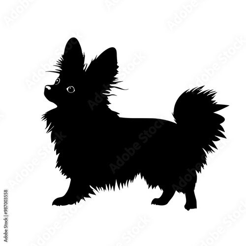 vector silhouette of a papillon