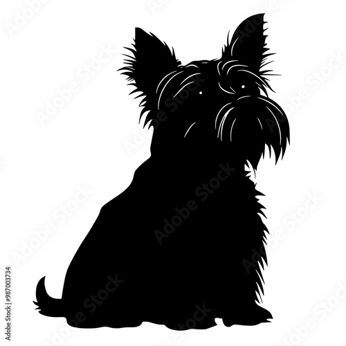 vector silhouette of a norwich terrier