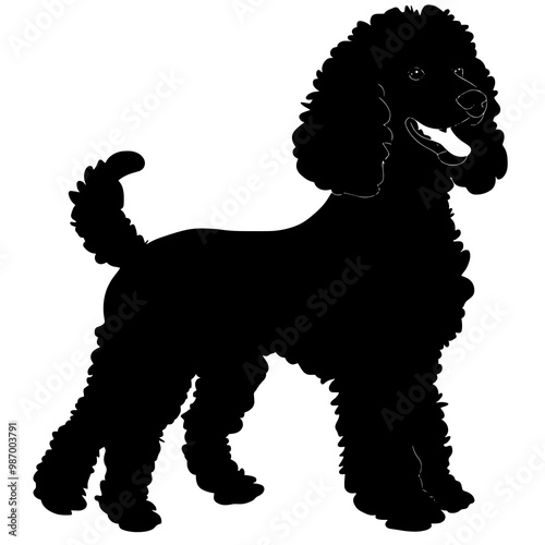 vector silhouette of a poodle