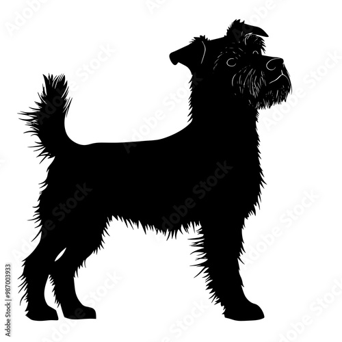 vector silhouette of a pumi