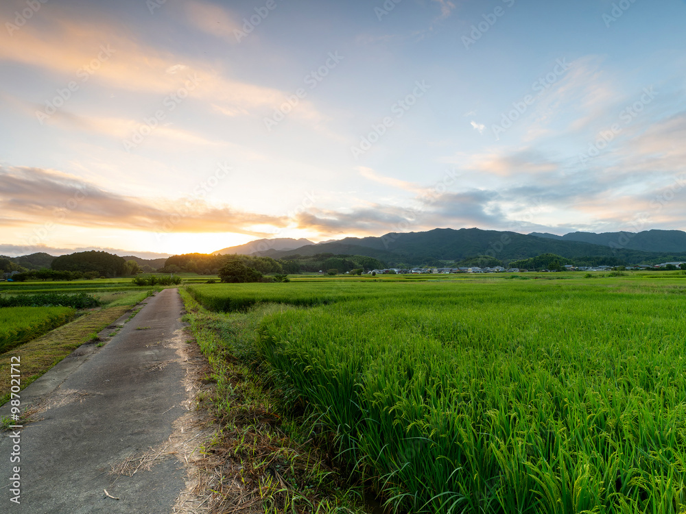 Obraz premium 朝焼けの空と明日香村の田園風景