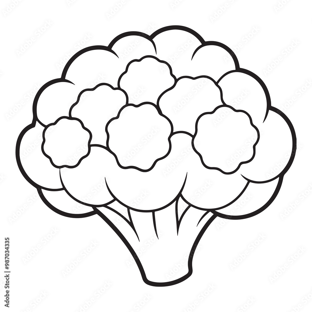 Dynamic Cauliflower with line art vector Dynamic Cauliflower with line art vector