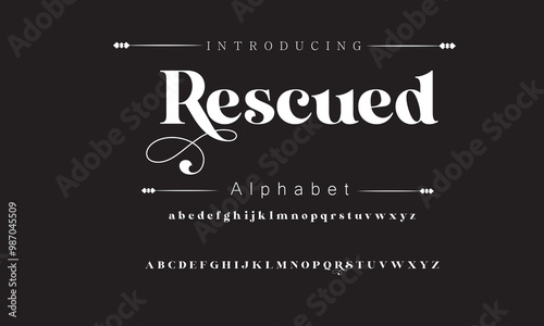 Sophisticated Modern Font Collection