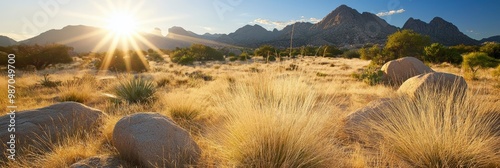  The sun gleams over a desert scene, featuring large rocks and parched grass in the foreground, and towering mountains in the backdrop photo