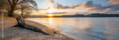  A tree stump on the lakeshore as the sun sets, casting long shadows; clouds painted across the sky