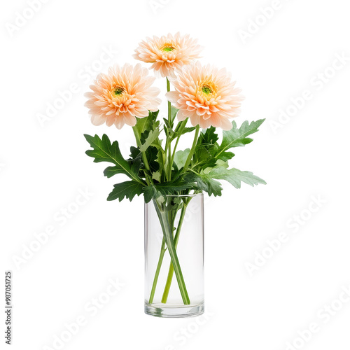 Wallpaper Mural Peach Chrysanthemums in Glass Vase Torontodigital.ca