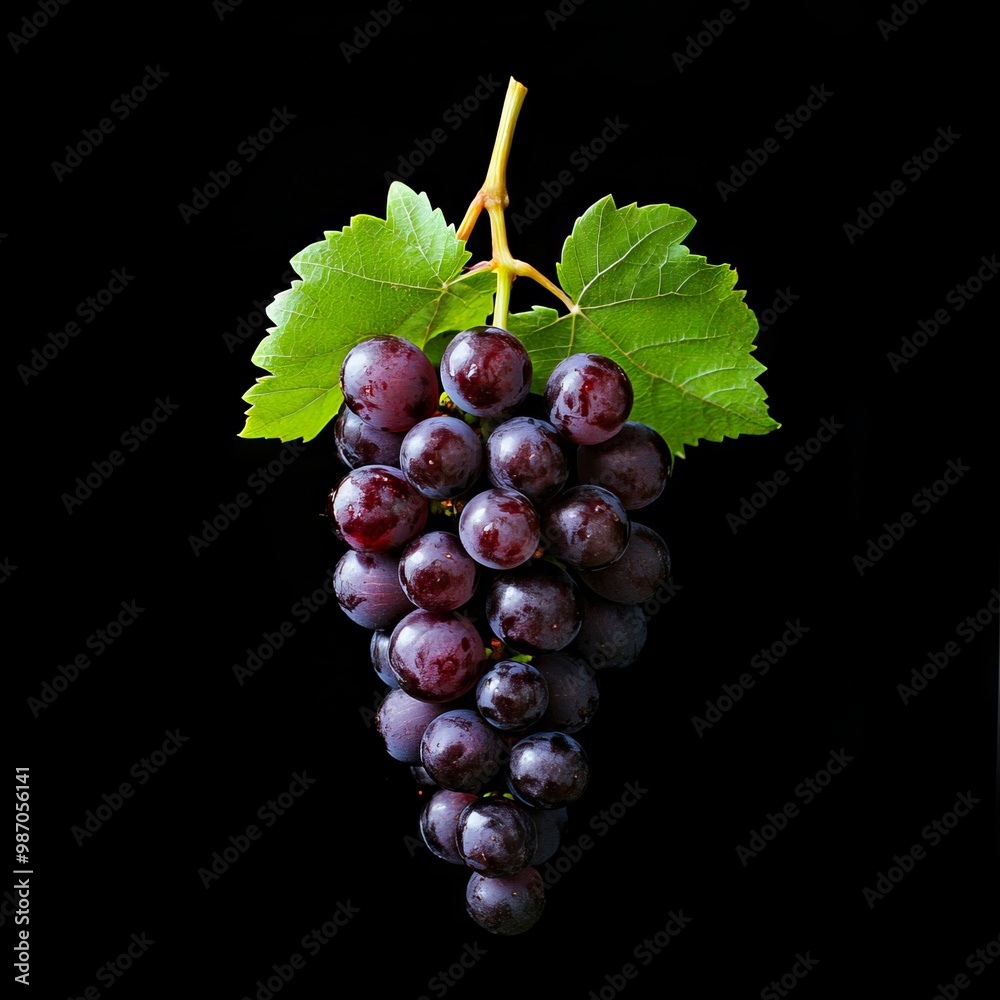 Fototapeta premium A bunch of grapes with green leaves on a black background