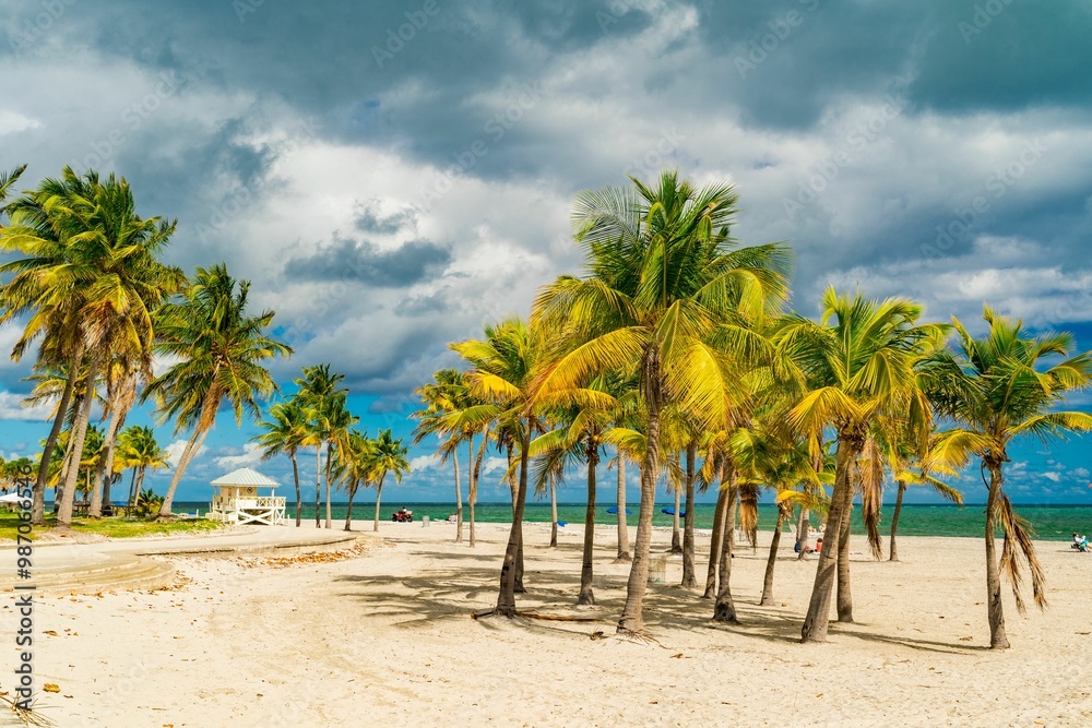 Beautiful sunny afternoon at Crandon Beach - Key Biscayne, Florida Beautiful sunny afternoon at Crandon Beach - Key Biscayne, Florida