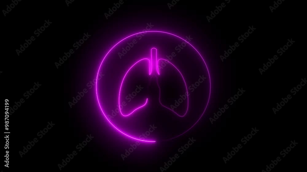 Neon glowing digital anatomy of human lungs fuchsia color icon 4k animation. Glowing line Disease lungs icon isolated on black background. Neon glowing digital anatomy of human lungs fuchsia color icon 4k animation. Glowing line Disease lungs icon isolated on black background.