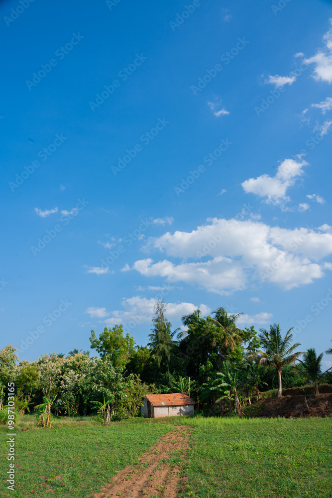 A beautiful house among the trees A beautiful house among the trees