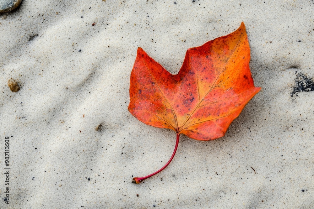 an autumn leaf in Isla Cristina, Huelva province, Spain , ai an autumn leaf in Isla Cristina, Huelva province, Spain , ai