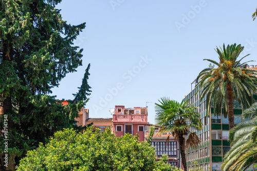 Häuserfassaden die zwischen Bäumen und Palmen in einem Park herrausschauen in Palma de Mallorca auf Mallorca Spanien