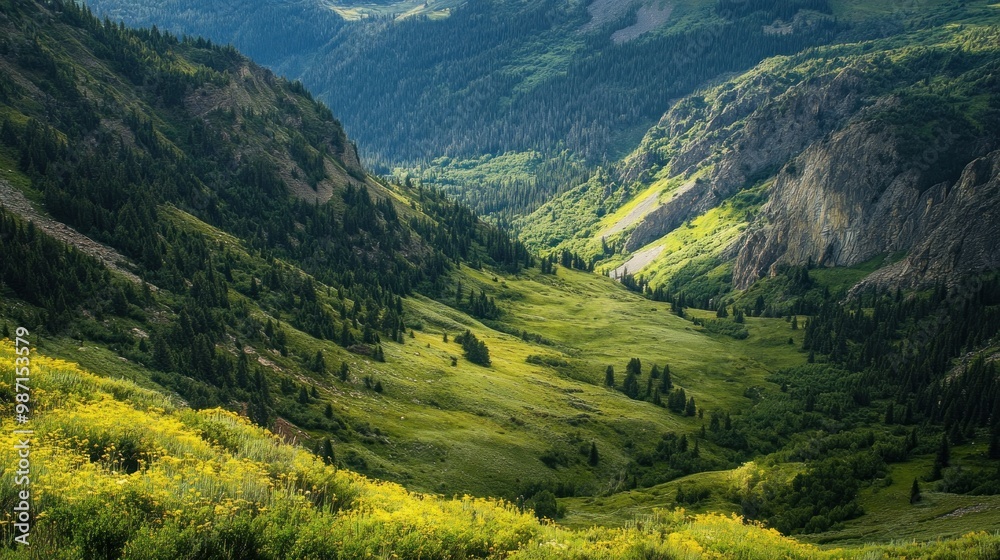 Obraz premium Mountain Valley Landscape