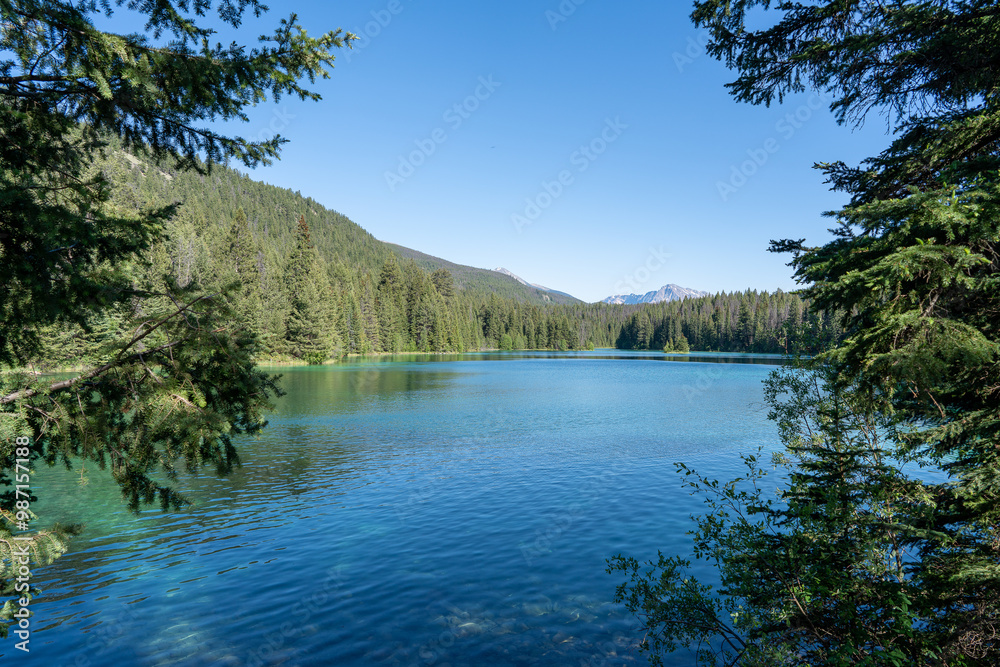 Scenic view on the way from banff to jasper national park