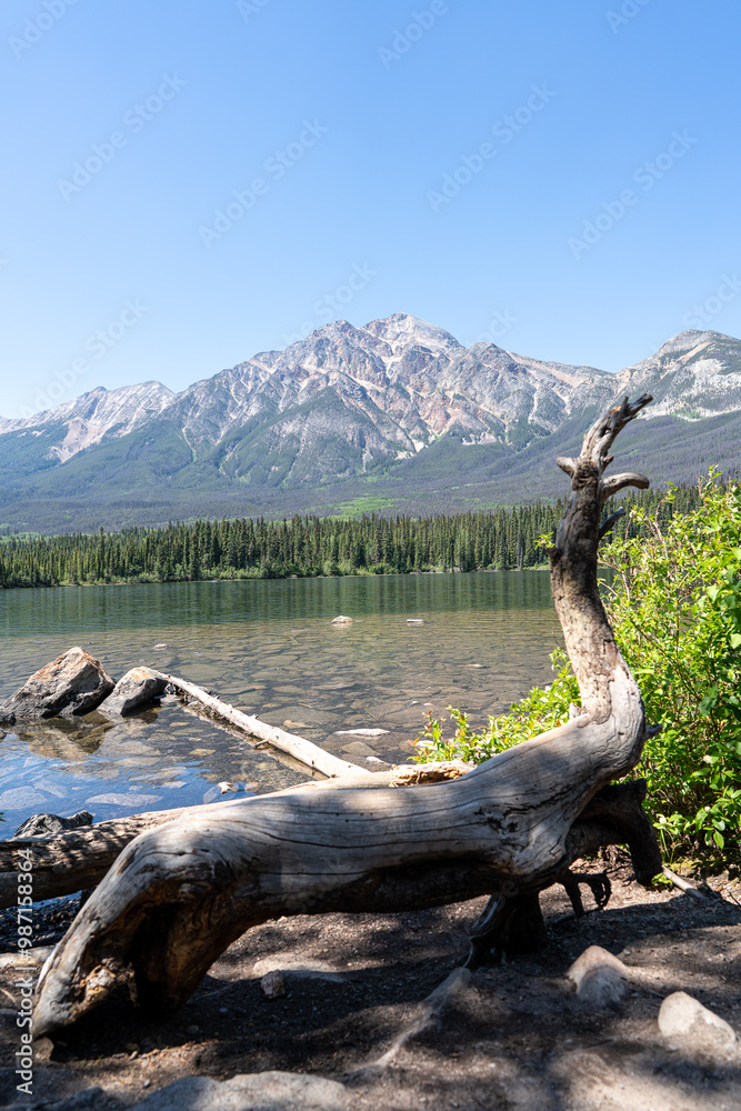 Fototapeta premium Scenic view of Jasper National Park, Canada
