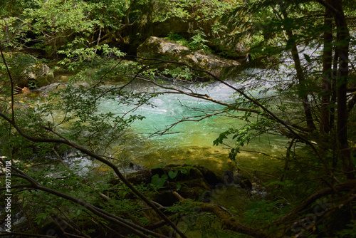 Jiet, mountain river flowing through trees and firs with clear and fast water photo