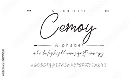 Beautiful Cursive Signature Font for Weddings