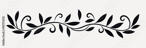 Elegant black floral border design