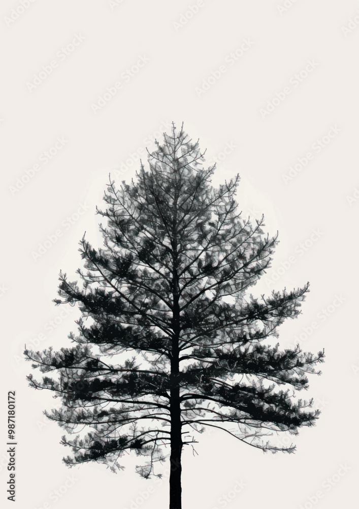 Obraz premium Solitary tree silhouette against sky